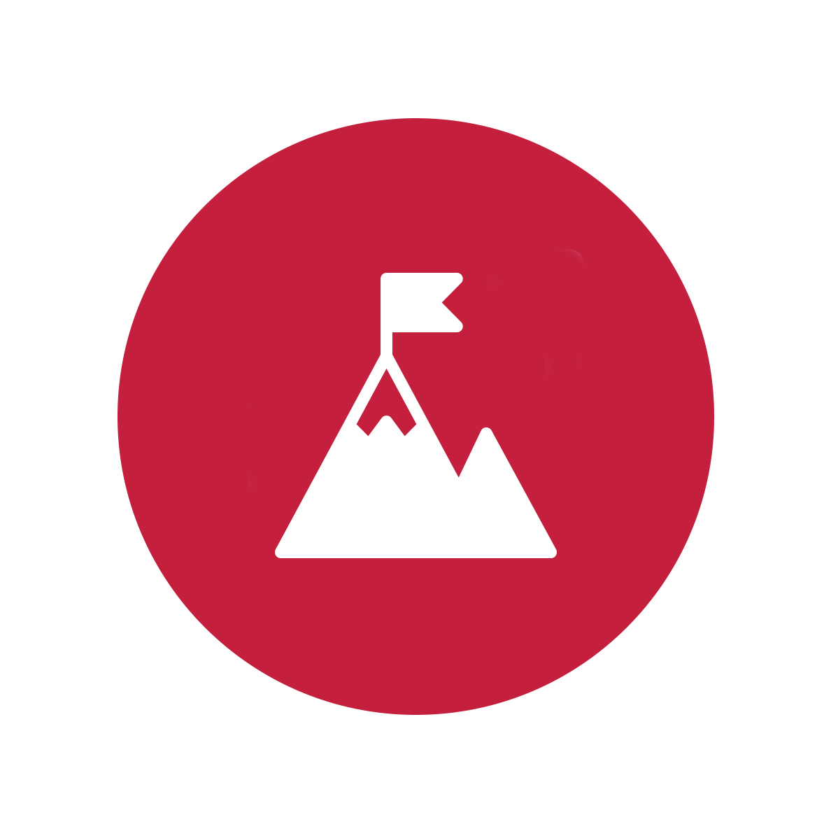 mision-icon